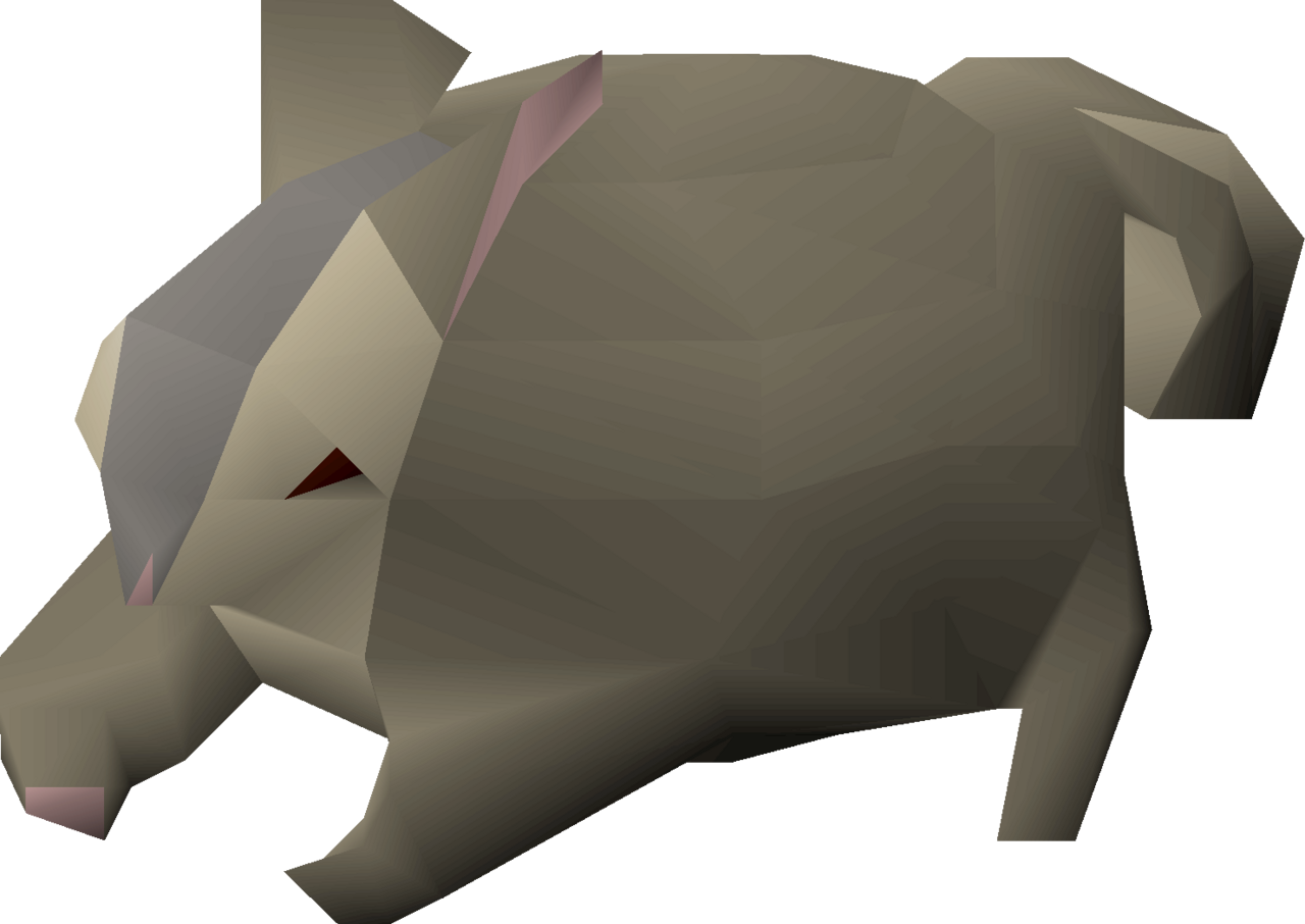 babychinchompa