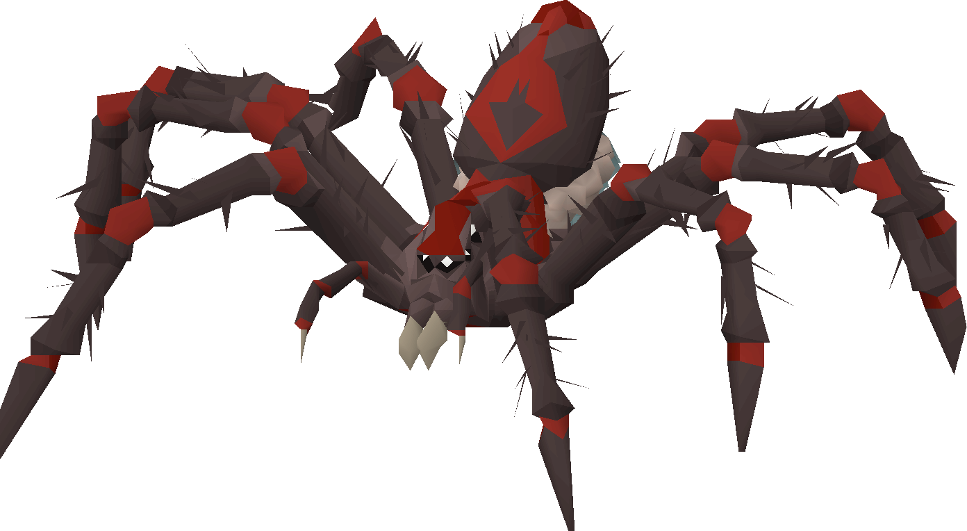 venenatisspiderling